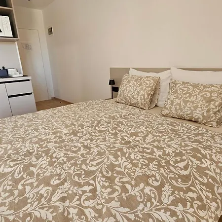 Richi & App Apartment Funtana